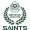 Club logo of Sindh Saints