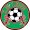 Club logo of RG Ticino