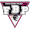 Club logo of E-Work Faenza