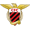 Club logo of Newcastle Chemfica FC