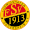 Club logo of FSV Oggersheim