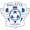 Club logo of Arguvanspor