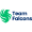 Club logo of فريق فالكونز