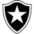 Team icon of Botafogo FR