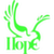 logo of Hope Doves FC