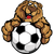 logo of 