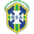 logo of Brazilian Soccer Academy