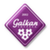 logo of Galkan FK