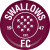 Team icon of Swallows FC