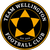 Team icon of Team Wellington FC