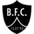 logo of Botafogo FC