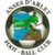 logo of Anses d'Arlet FC