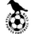logo of Dinas Powys FC
