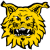 Team icon of Ilves Tampere