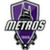 logo of Nashville Metros