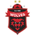 Team icon of Wollongong Wolves FC