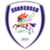 logo of Fushun Hanking FC