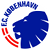Team icon of FC København U19