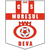 logo of CS Mureşul Deva