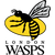 Team icon of London Wasps