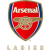 Team icon of Arsenal WFC