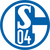 Team icon of FC Schalke 04 Evolution