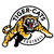 Team icon of Hamilton Tiger-Cats