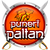 Team icon of Puneri Paltan