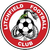 logo of Litchfield FC