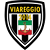 logo of Viareggio 2014