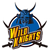 Team icon of Panasonic Wild Knights