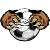 logo of Gundaroo FC