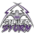 logo of ASA College Silverstorm