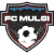 logo of FC Mulgi