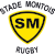 Team icon of Stade Montois