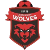 logo of IFS Wolves