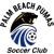 logo of Palm Beach Pumas SC