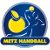 Team icon of Metz Handball