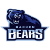 Team icon of Bakken Bears