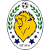 logo of Northern Lions FC