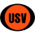 logo of Club Unión San Vicente