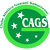 logo of CA Guarani Sumareense