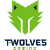 Team icon of T-Wolves Gaming
