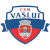 logo of CSM Vaslui
