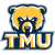 logo of Truett McConnell Bears