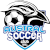 logo of Austral SC