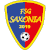 logo of FSG Saxonia