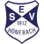 logo of ESV Hönebach