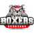 Team icon of Boxers de Bordeaux