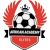 logo of African Academy Elites